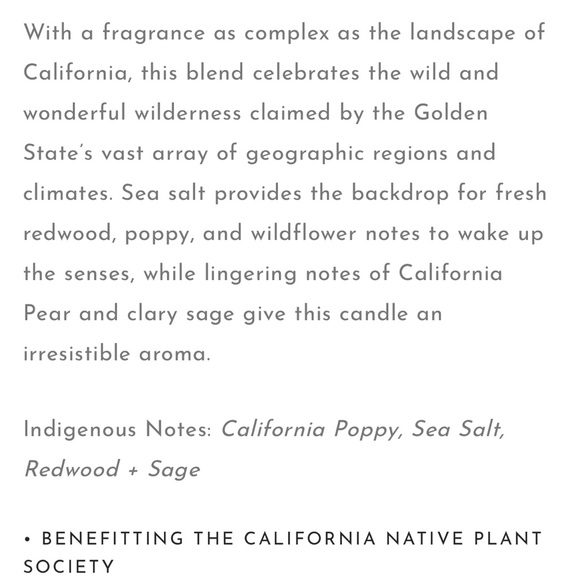 Golden State soy 7.5oz candle - Picture 6 of 7